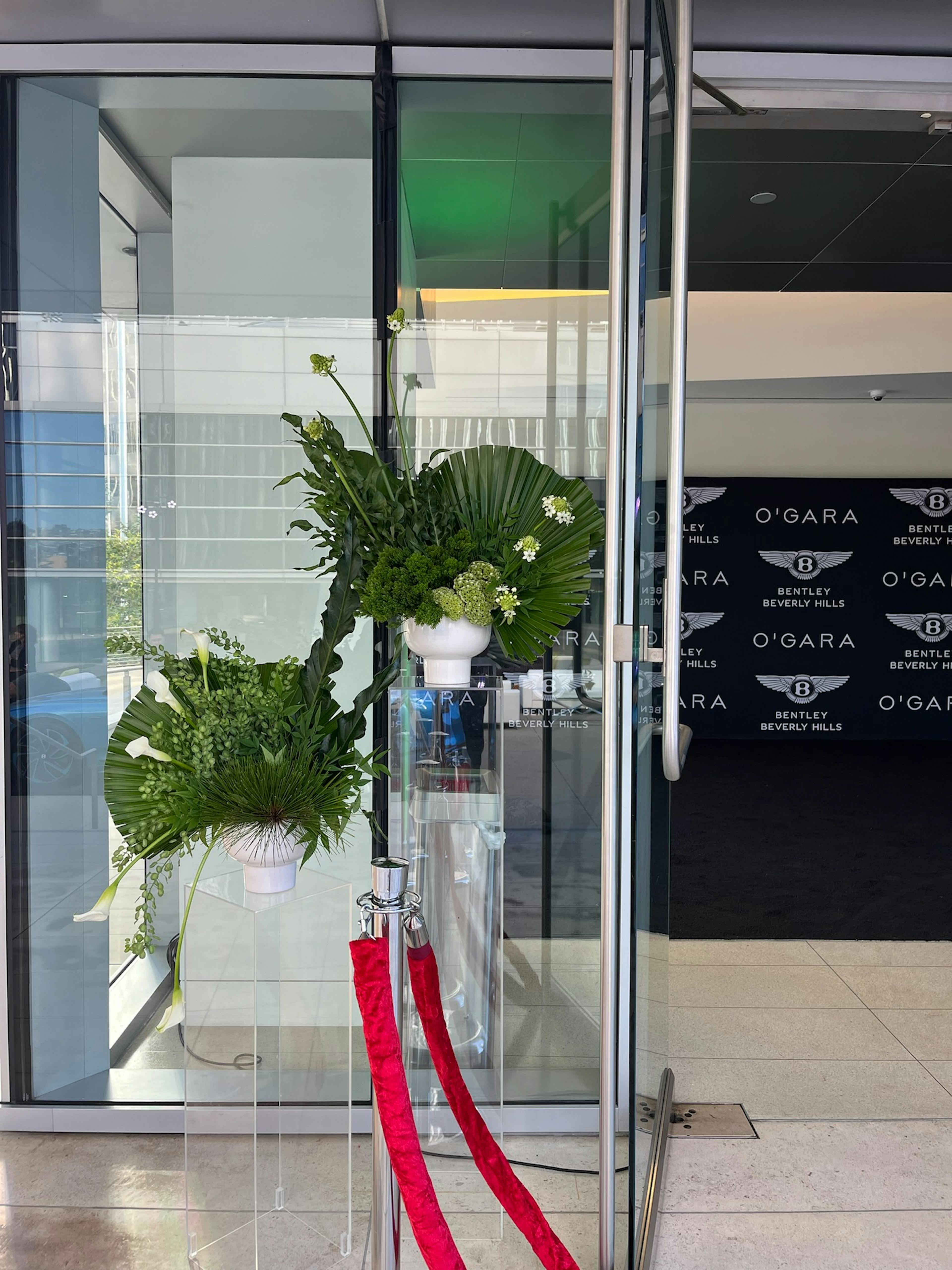 A display case with two white vases holding green foliage