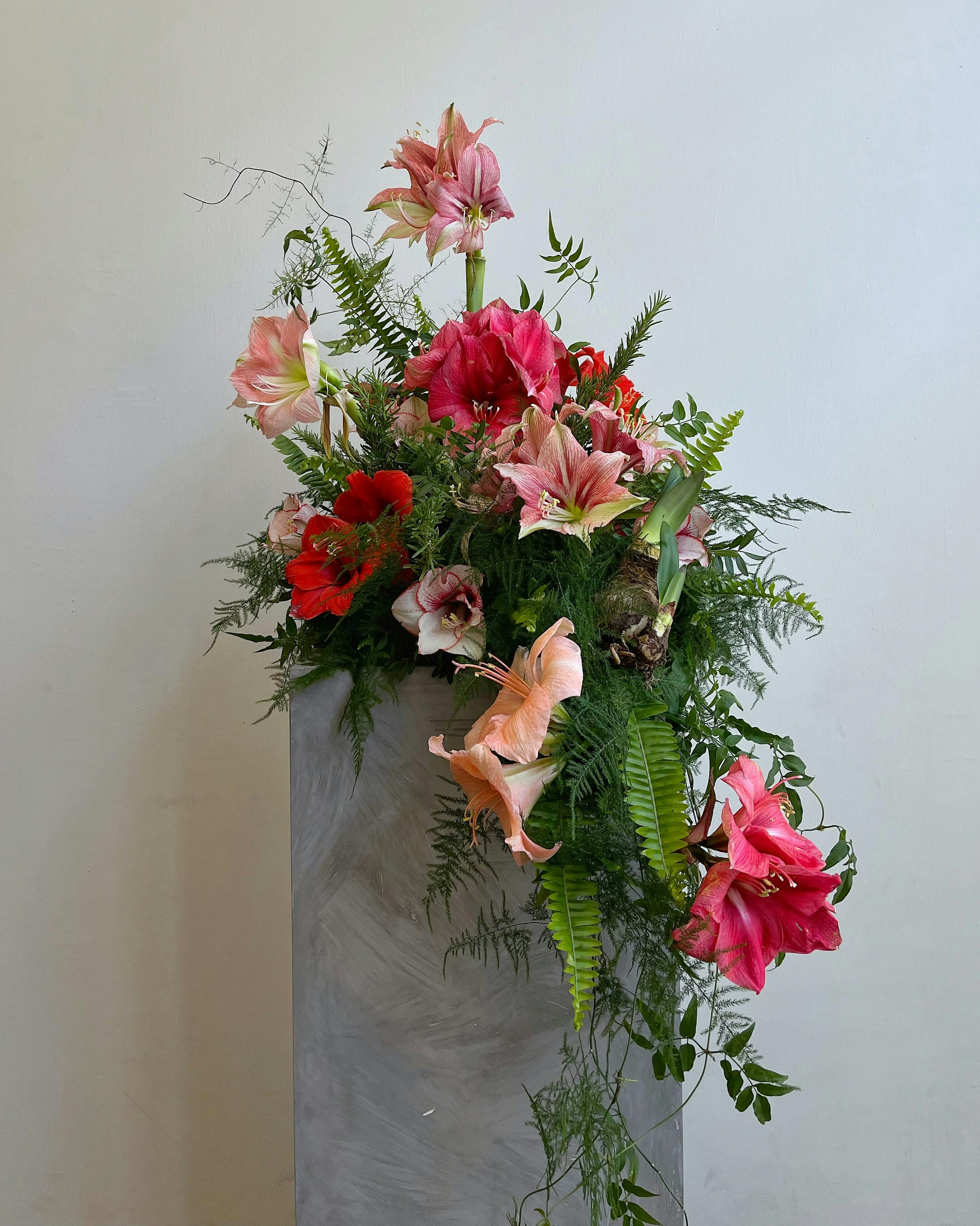 A floral arrangement on a grey pedestal with red and pink amaryllis flowers and bulbs