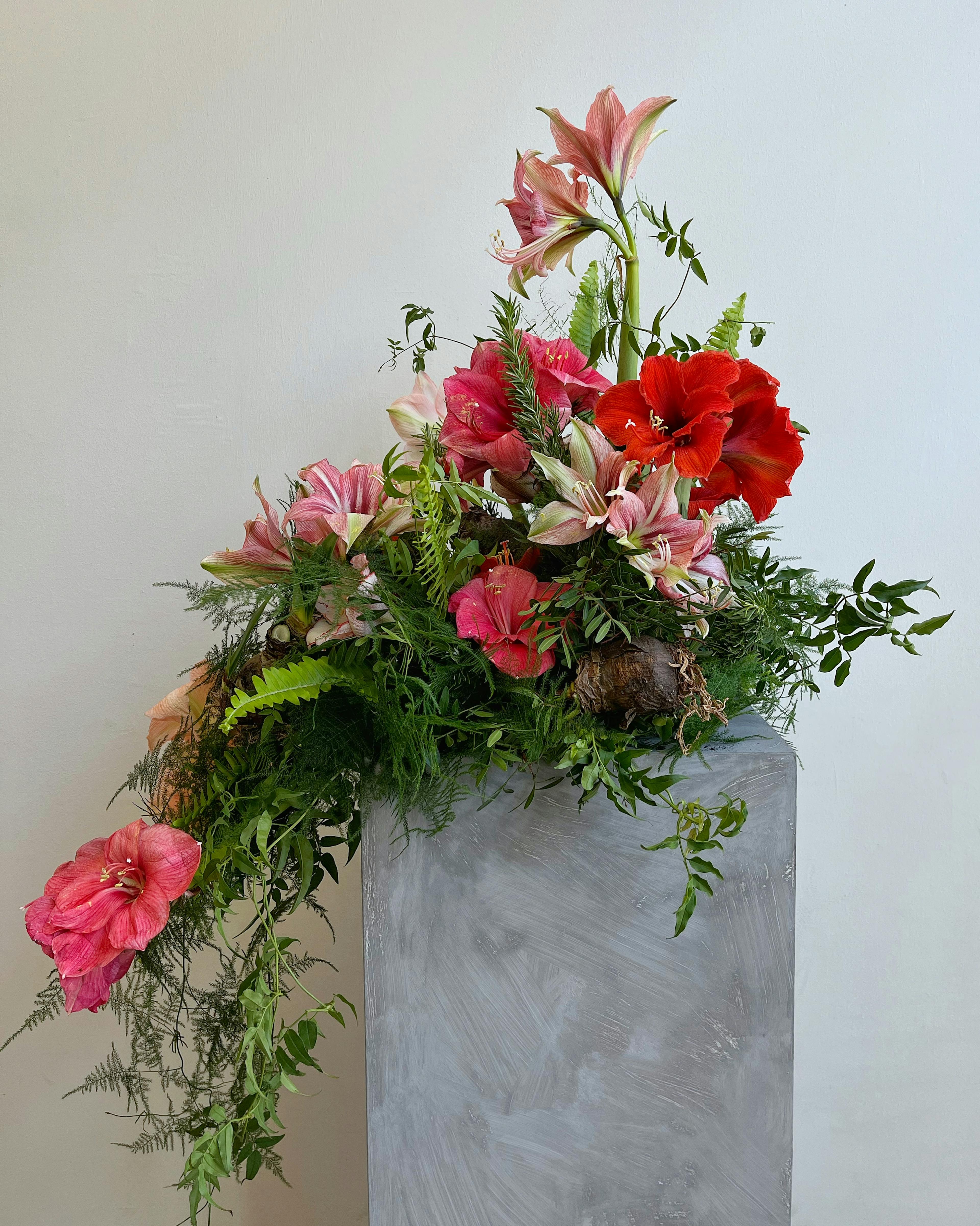 A floral arrangement on a grey pedestal with red and pink amaryllis flowers and bulbs