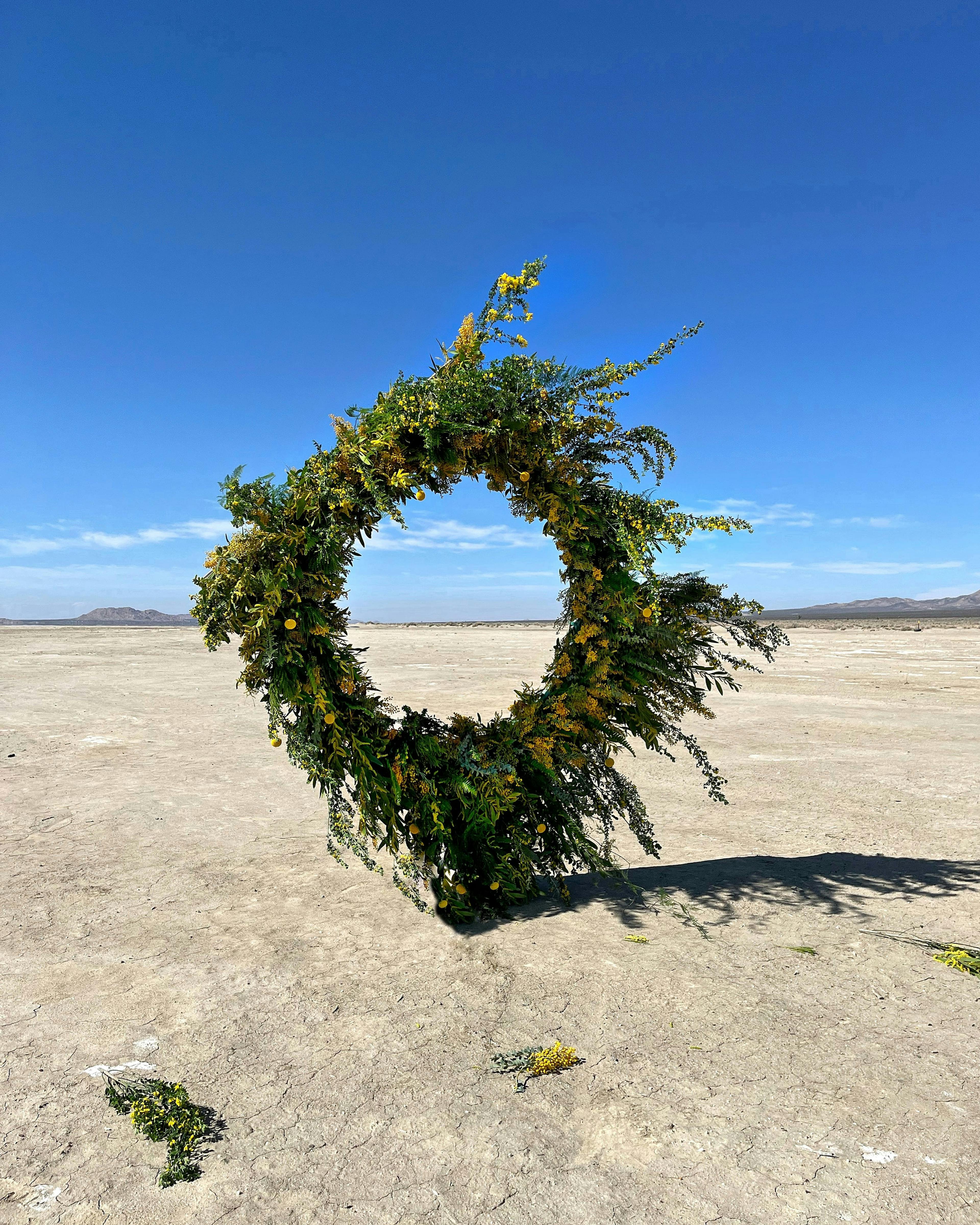 A large round hoop-like arrangement of yellow flowers with green foliage in the desert.