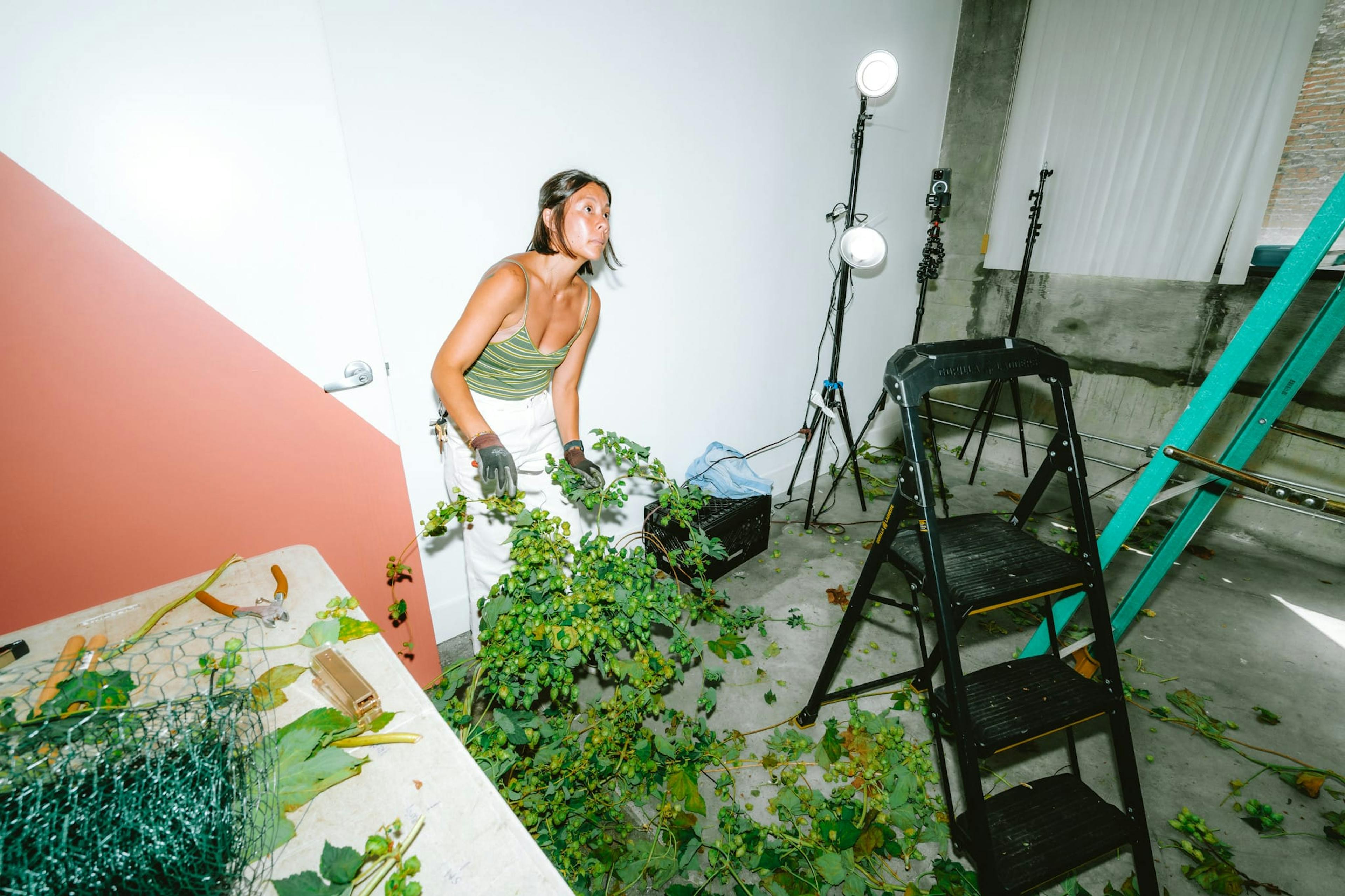 A woman holding bright green hops plants next to a black stepladder.