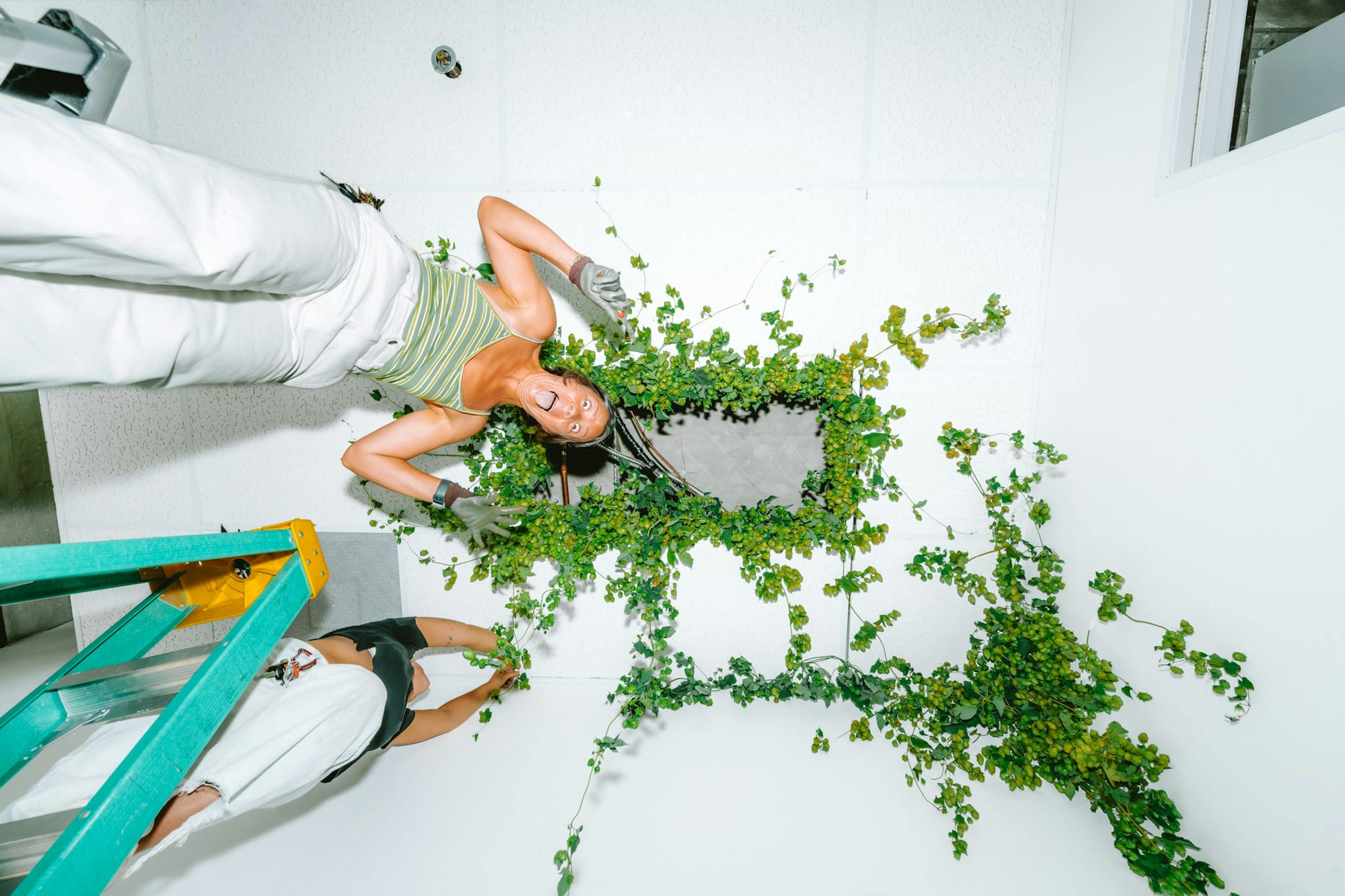 A women standing on a ladder making a funny face while she looks down from her plant installation project.