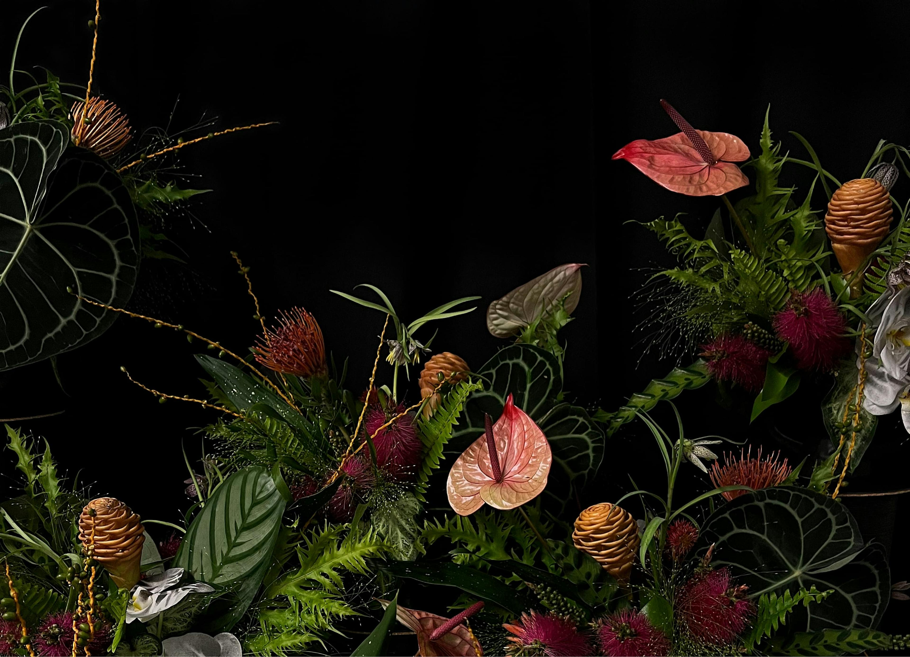 Pink peace lilies and dark green ficus plants on a black background.