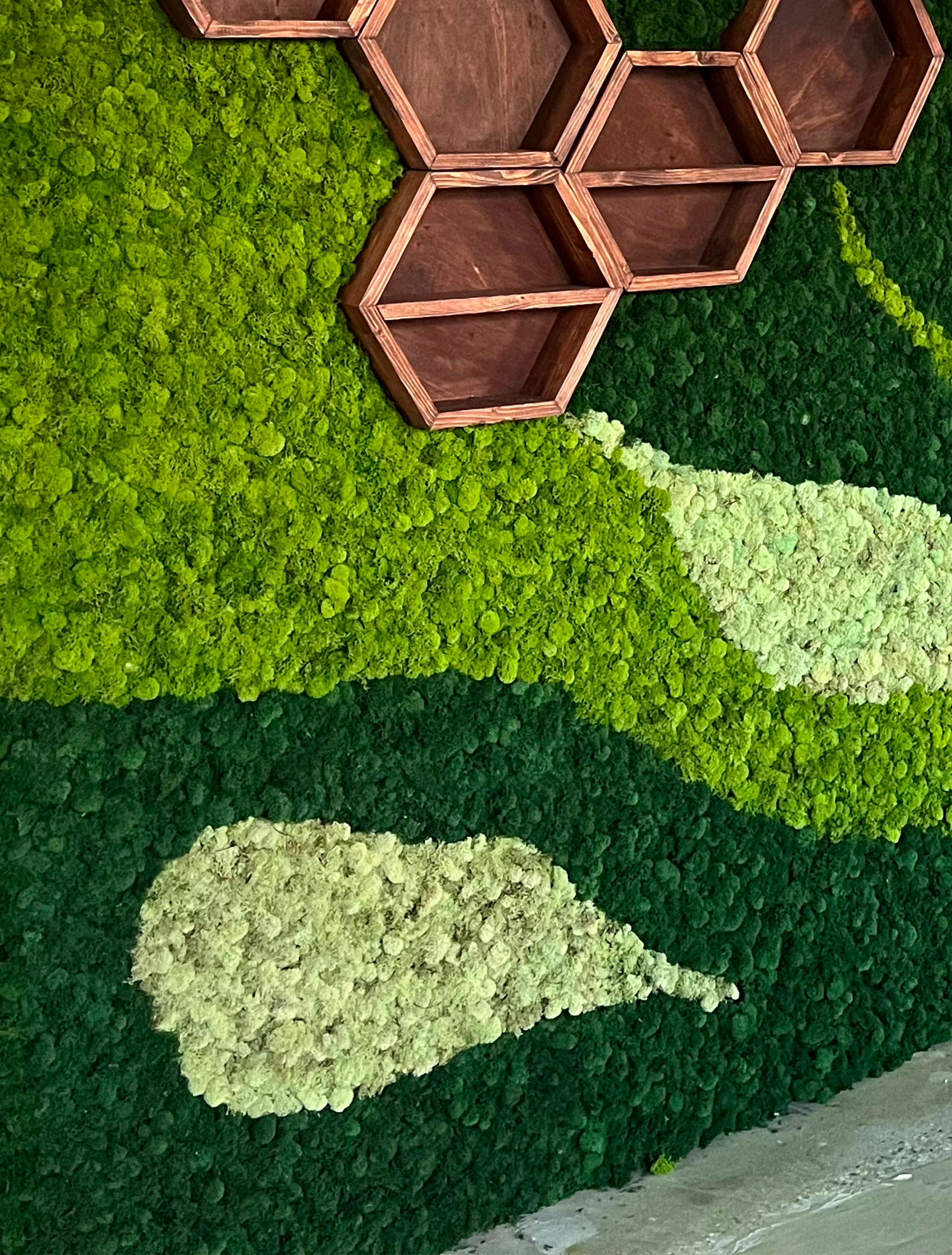 A wall covered in light green and dark green moss arranged in natural organic shapes. There are hexagonal wood shelves set inside the moss. 