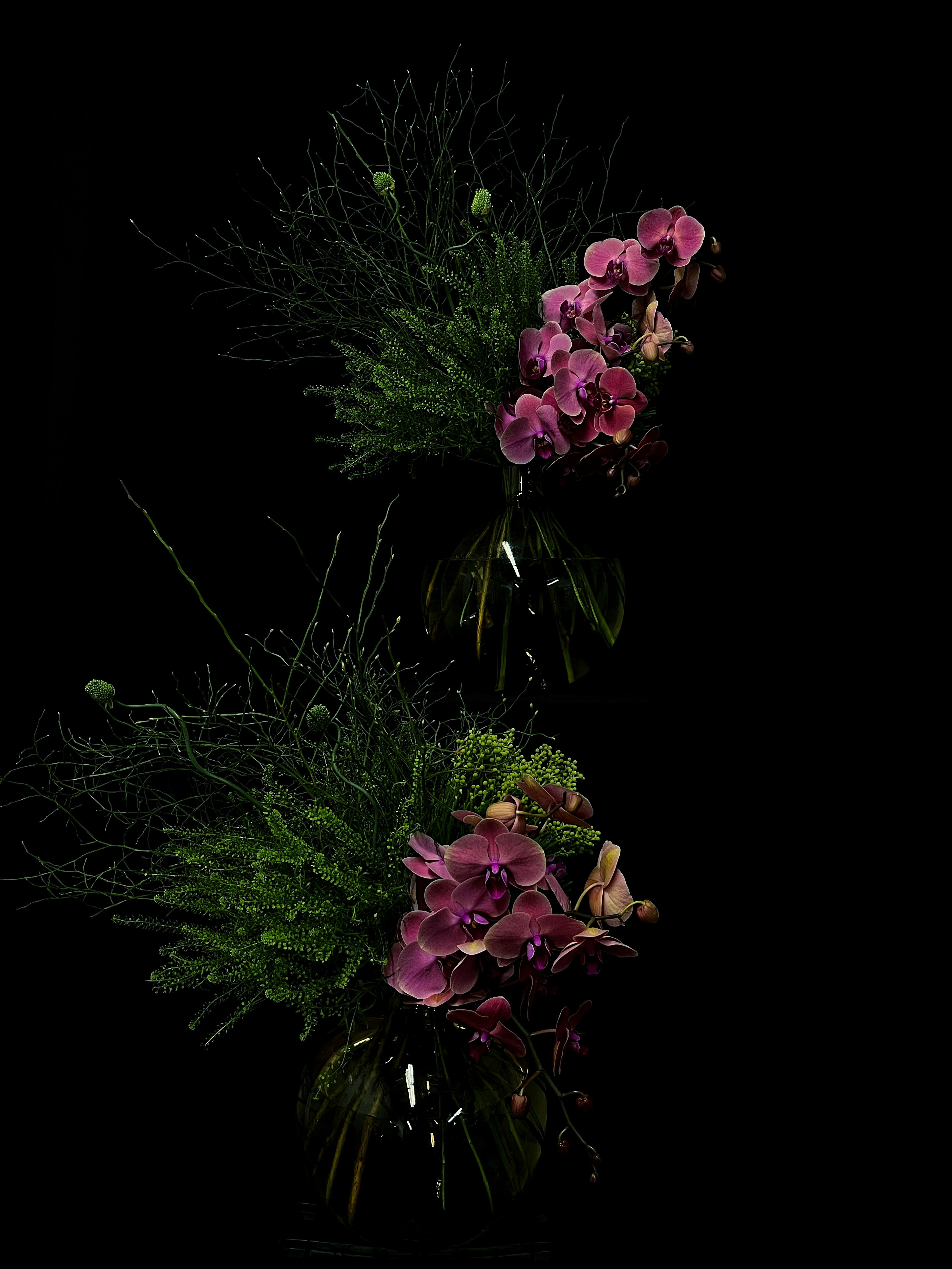 Two vases with dark purple orchids in front of a black background