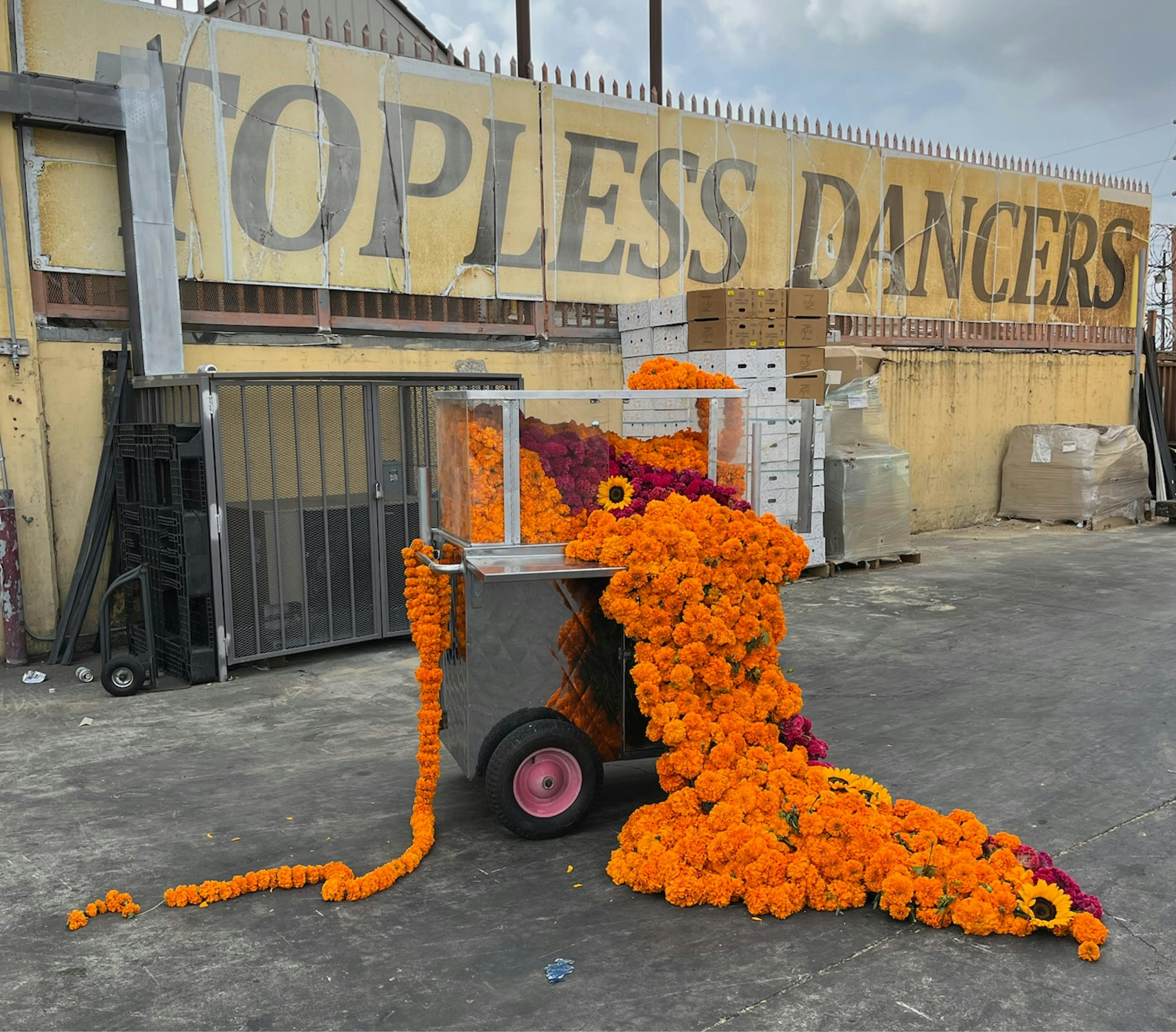 A food cart overflowing with orange and purple carnations on a street in front of a sign that says 'Topless Dancers'