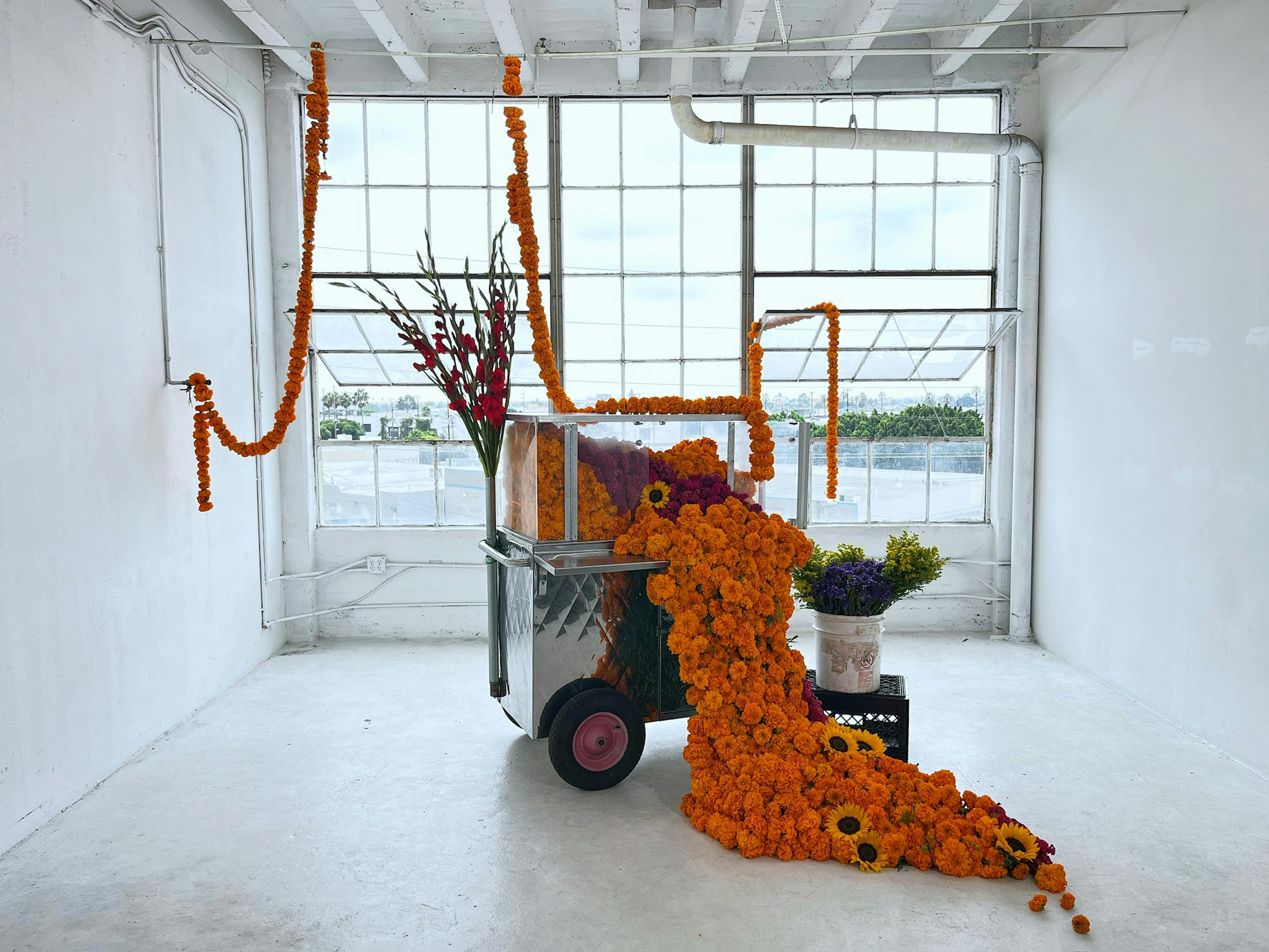 A food cart overflowing with orange and purple carnations in a white room in front of a window.