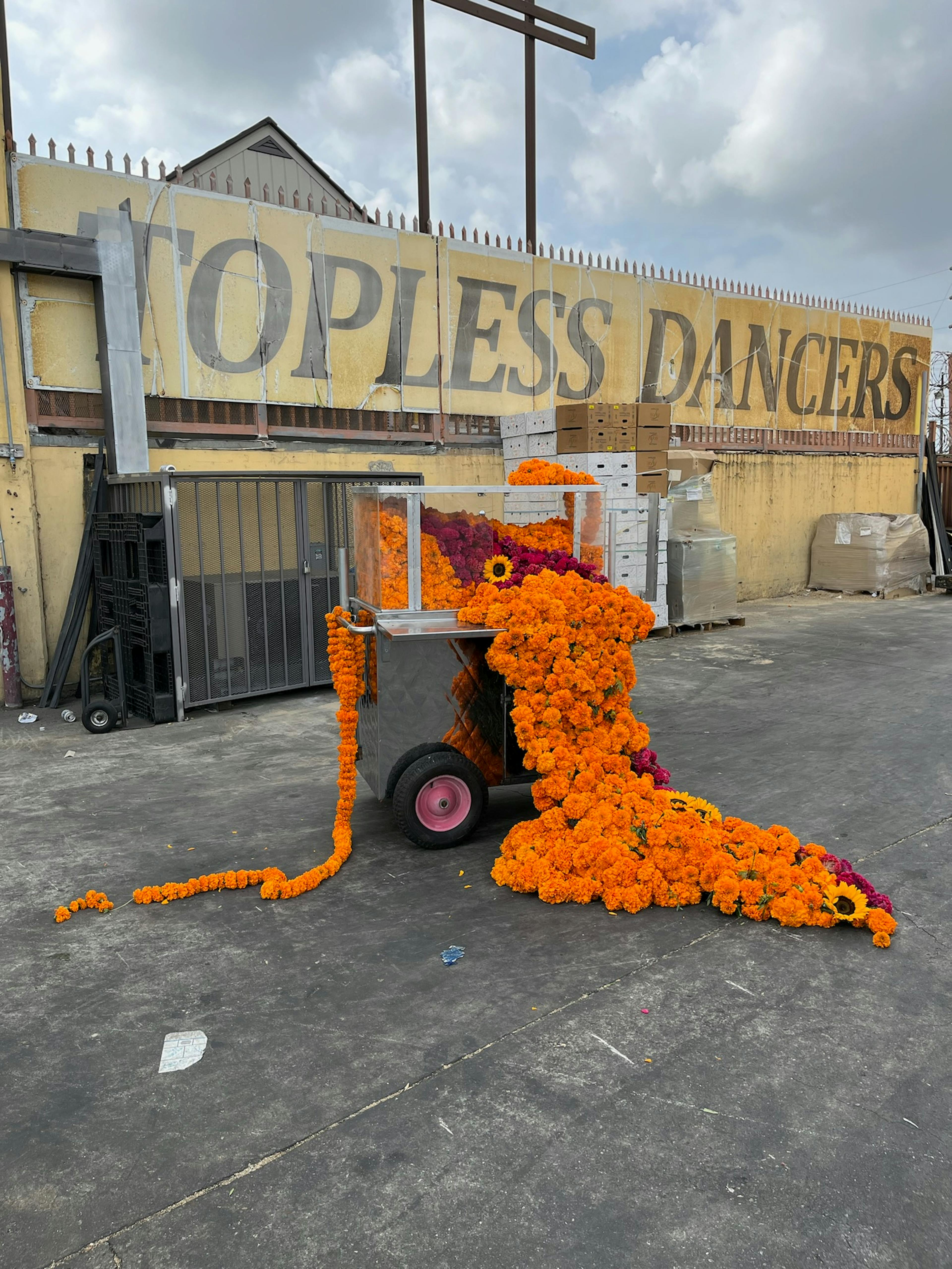 A food cart overflowing with orange and purple carnations in front of a large sign that says 'Topless Dancers'.