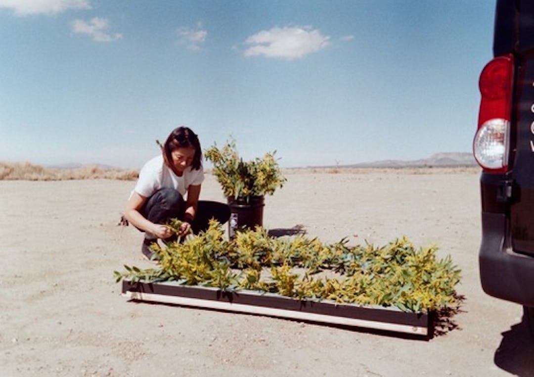 A women in the desert arranging yellow flowers on a round wooden frame next to a black van.