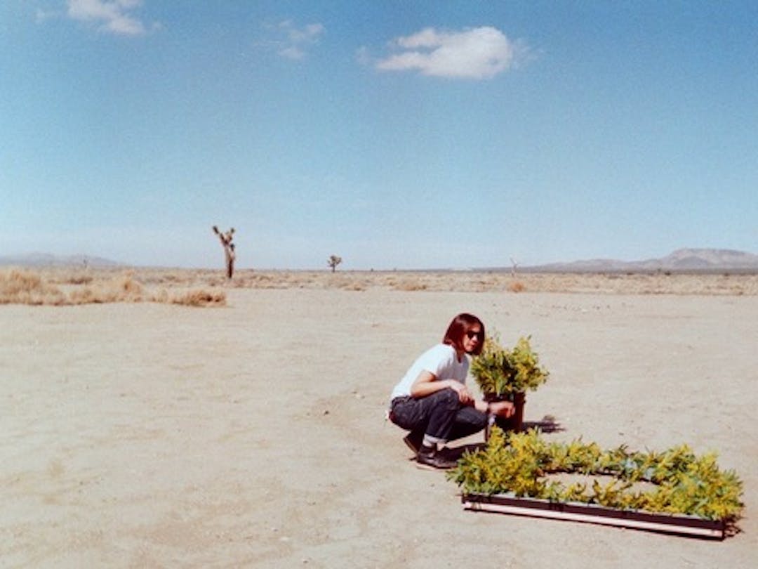 A women in the desert arranging yellow flowers on a round wooden frame.