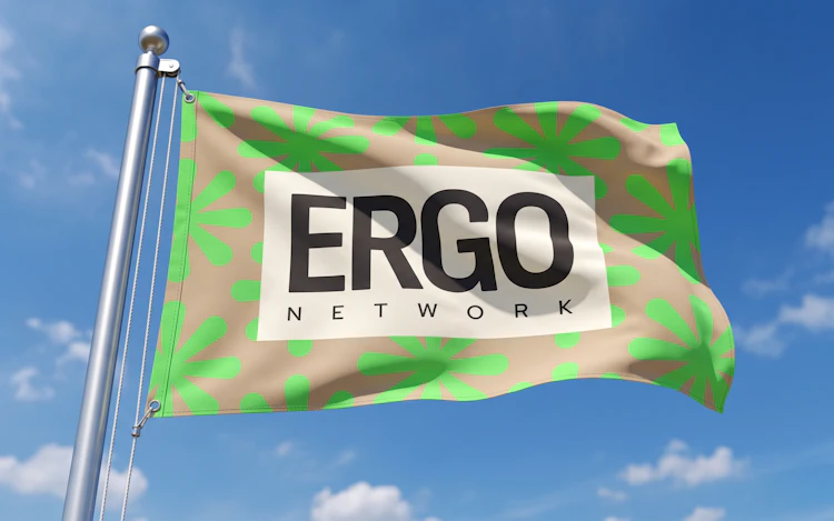 ERGO NETWORK: SOCIAL IMPACT, image 1 of 30