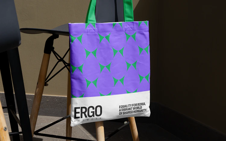 ERGO NETWORK: SOCIAL IMPACT, image 22 of 30