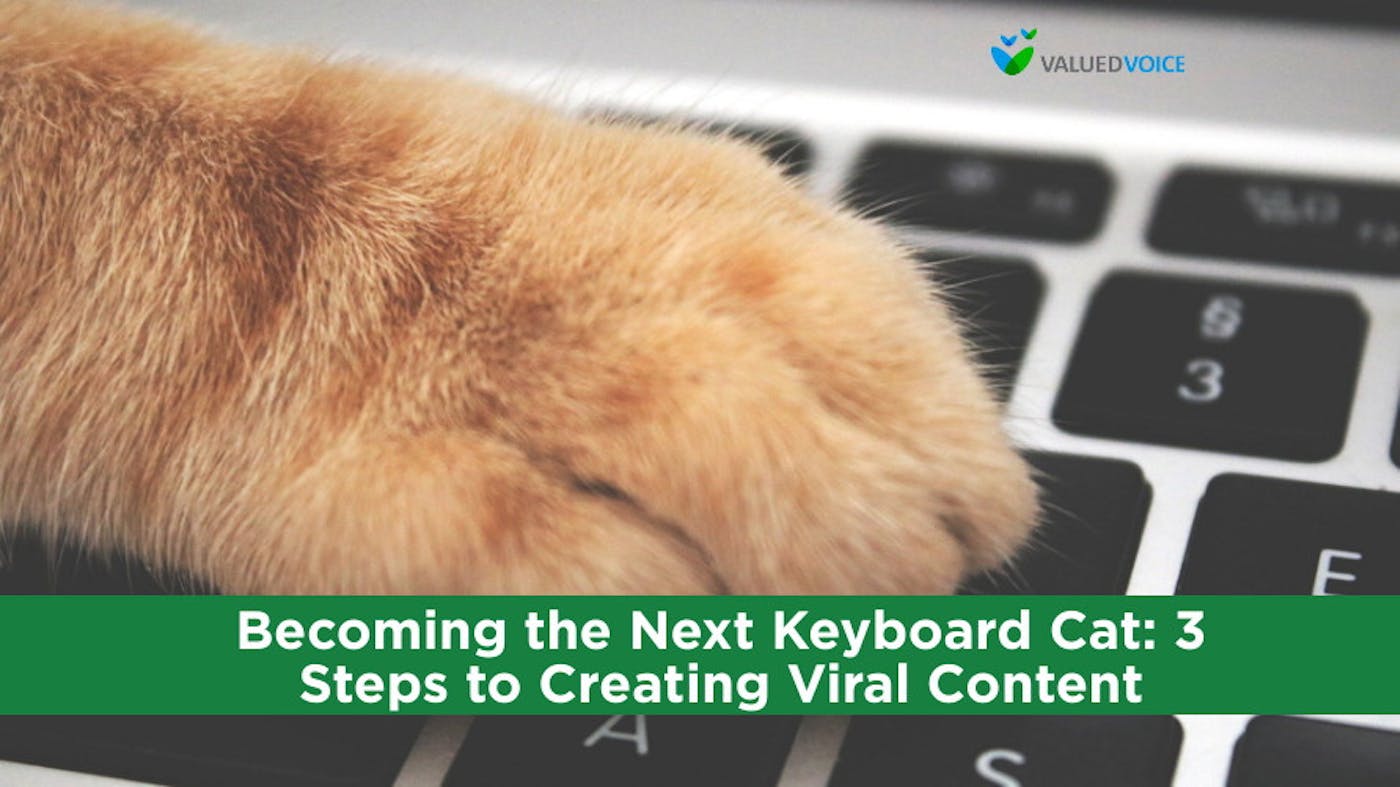 Becoming the Next Keyboard Cat: 3 Steps to Creating Viral Content