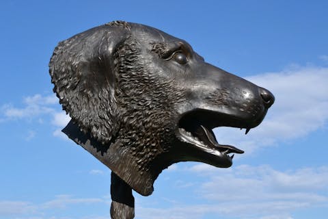 Ai Weiwei, dog head sculpture