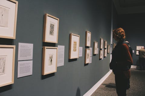 woman looking at drawings in a museum