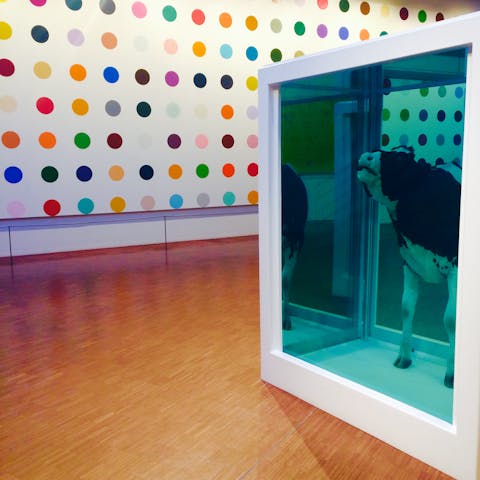 The Damien Hirst Room at Arken Museum of Modern Art in Denmark. (Arken Museum of Modern Art)
