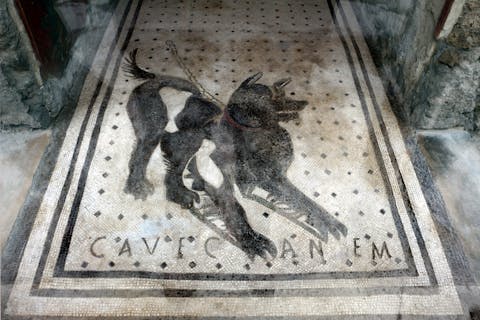 cave canem, beware of the dogm mancient Roman mosaic, Pompei
