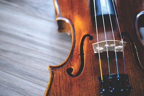 close up view of violin
