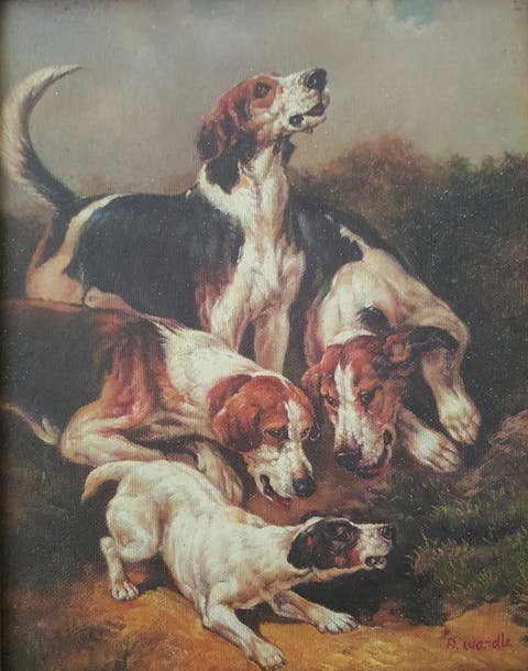 hunting dogs, joshua wardle, english dog painting