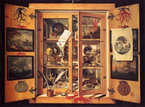 cabinet of curiosities, collecting, cabonet, baroque painting