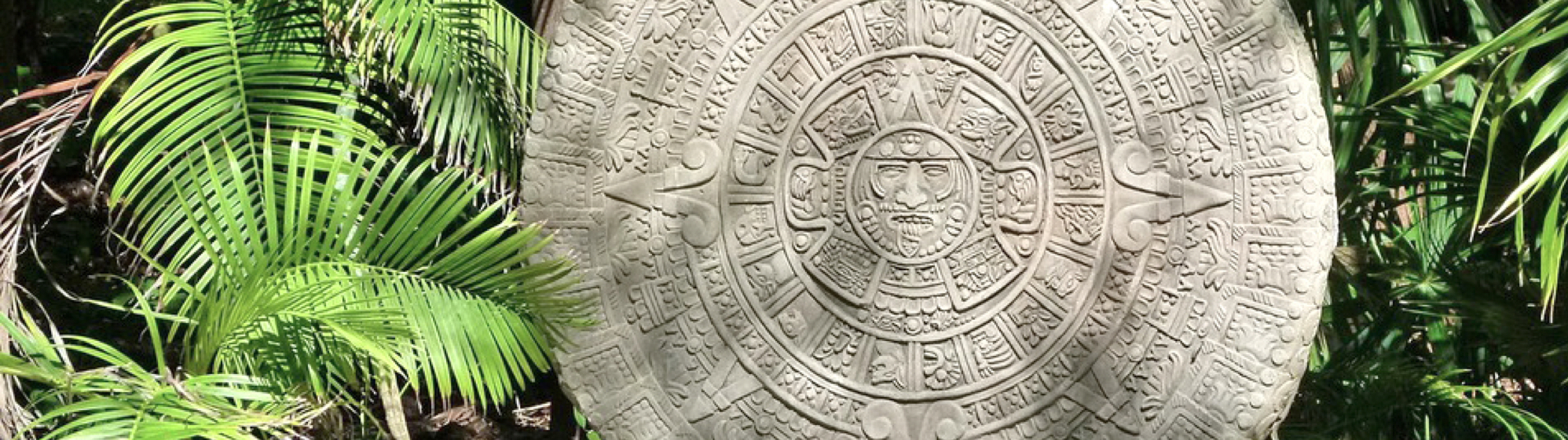 carved stone disc surrounded by foliage