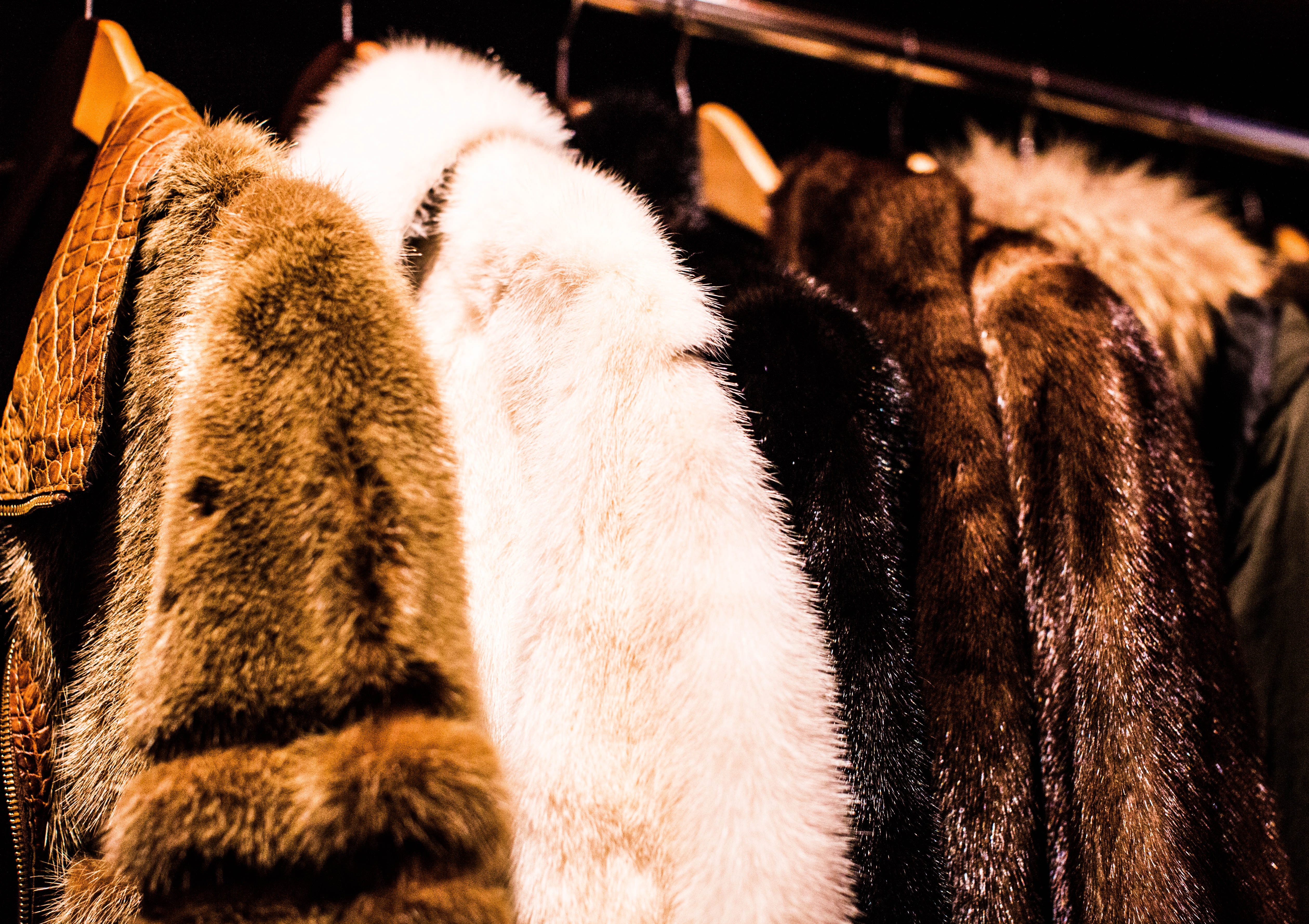 Stores that buy fur on sale coats