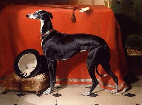 Eos, greyhound painting, prince Albert's dog