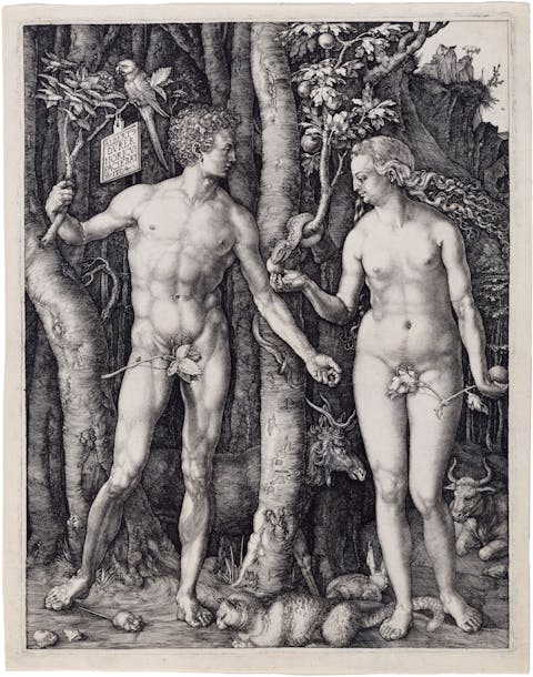 Albrecht Dürer, Adam and Eve, Engraving (Public Domain)