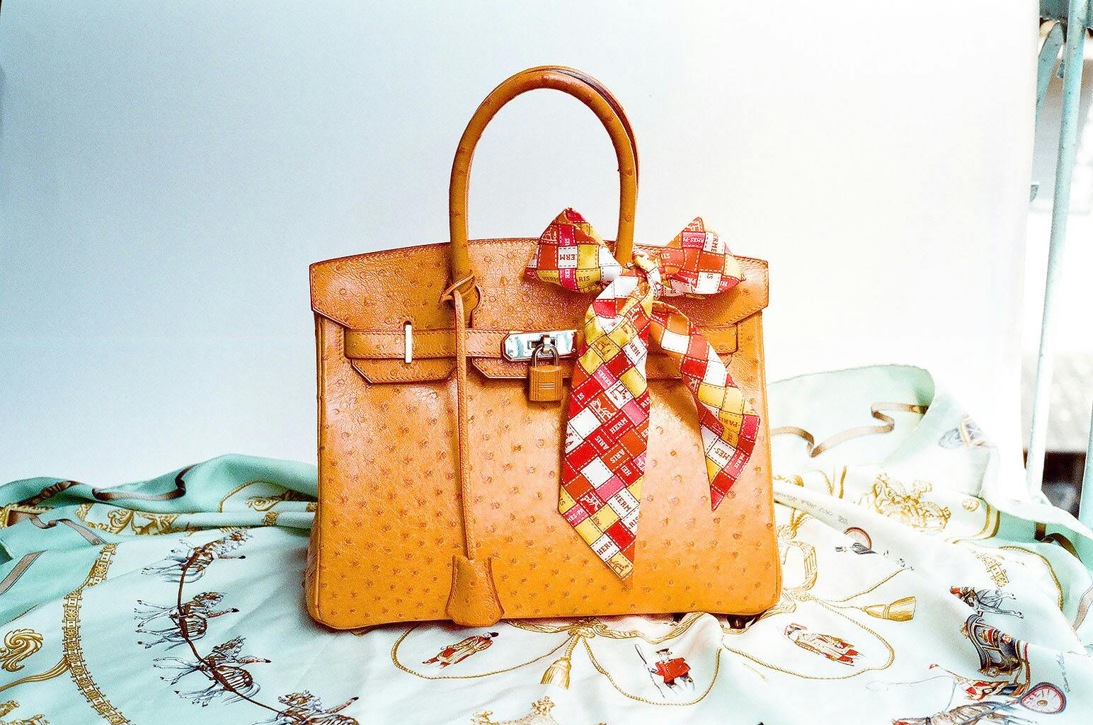 The History of the Iconic Hermès Birkin Bag