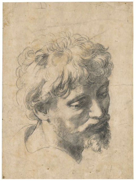 Raphael, Head of an Apostle, black chalk over pounced, dotted outlines, 375 x 278 mm