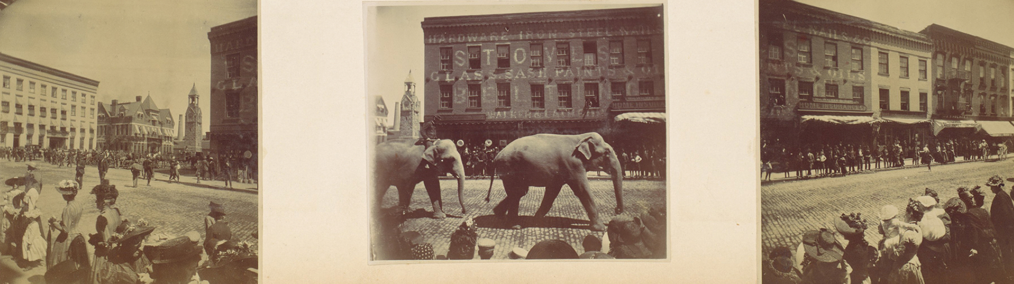 triptych photographs of elephant parading through city street