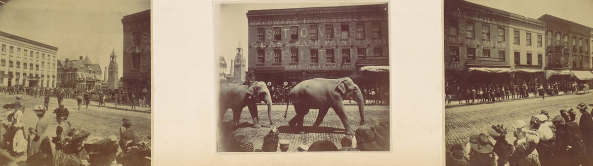 triptych photographs of elephant parading through city street