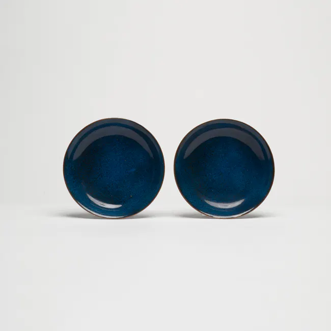 Pair of Chinese Porcelain Powder Blue Plates from the Kangxi period