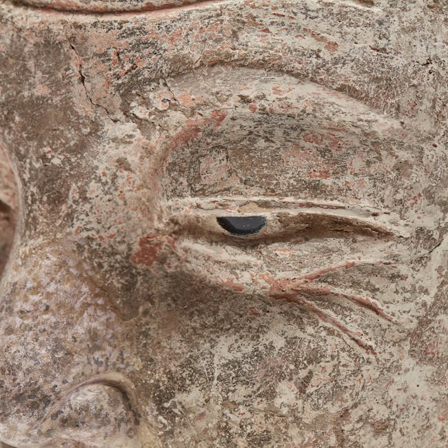 Chinese Works of Art Stucco Head of Luohan Eye Detail