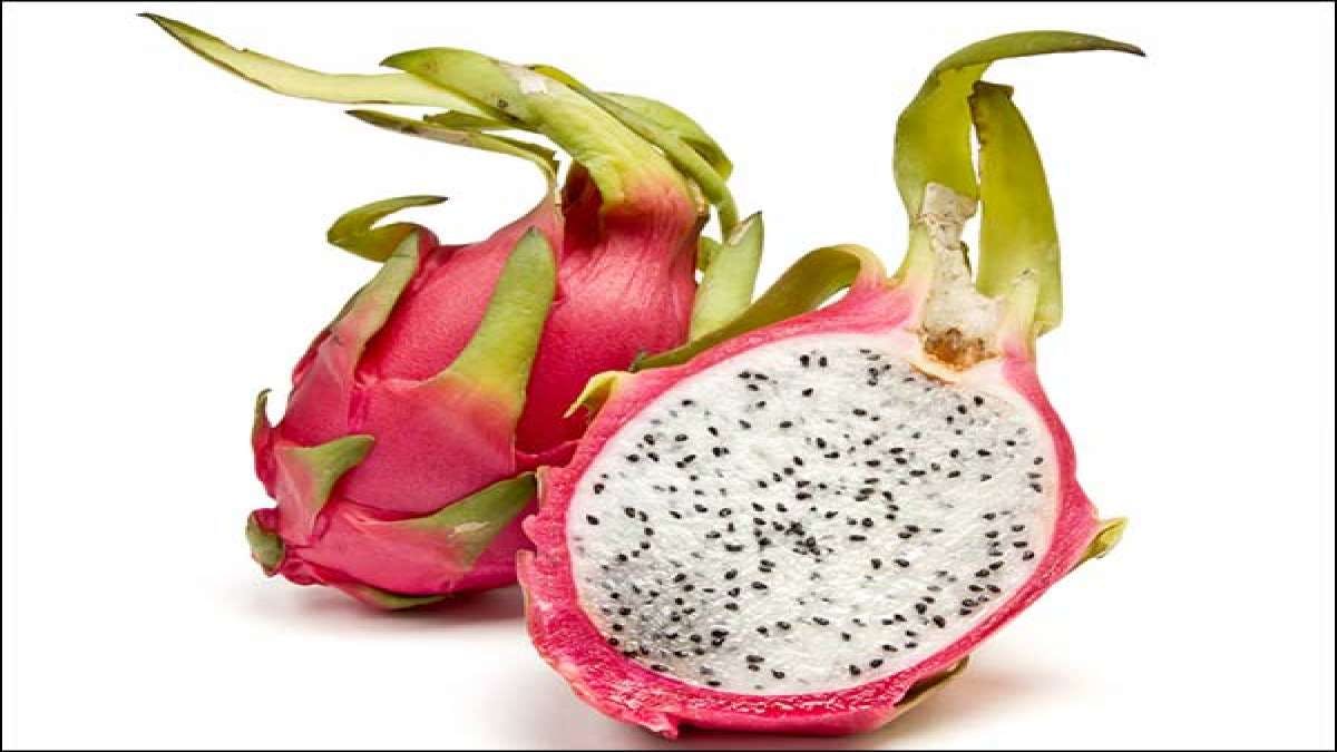 Top Health Benefits of Dragon Fruit Pitaya Fruit Eating Dragon