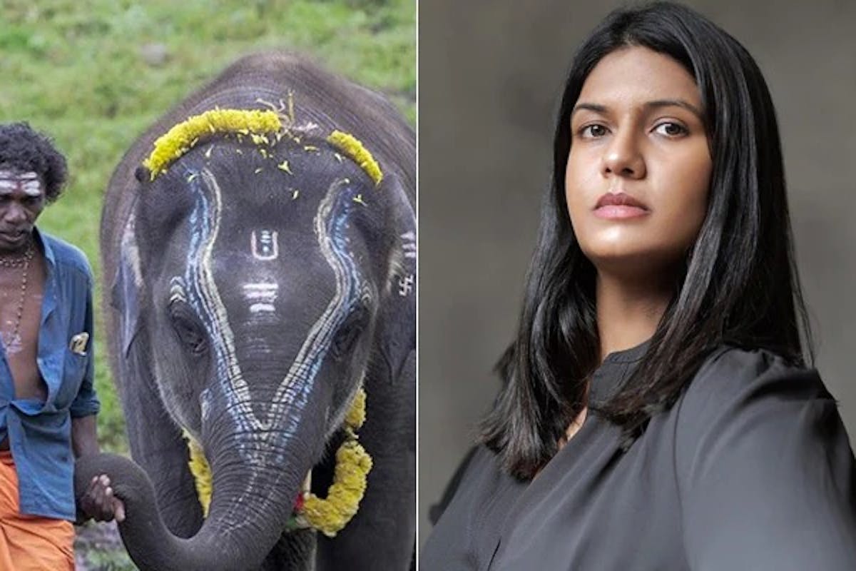 Kartiki Gonslaves And Guneet Monga's 'The Elephant Whisperers' Bags The Academy Award