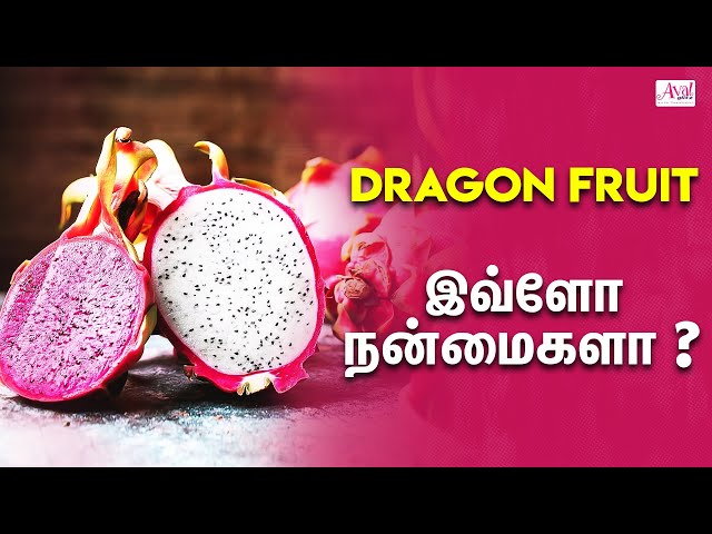 Top Health Benefits of Dragon Fruit Pitaya Fruit Eating Dragon