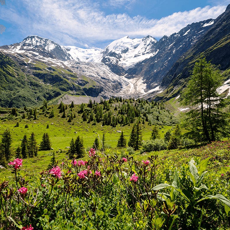 Ecotourisme En Rhone Alpes Vaovert Vaovert