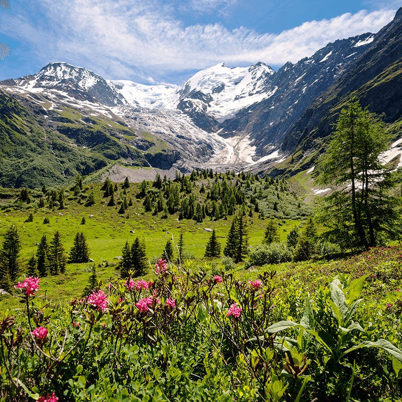 Une vue sur les Alpes Françaises