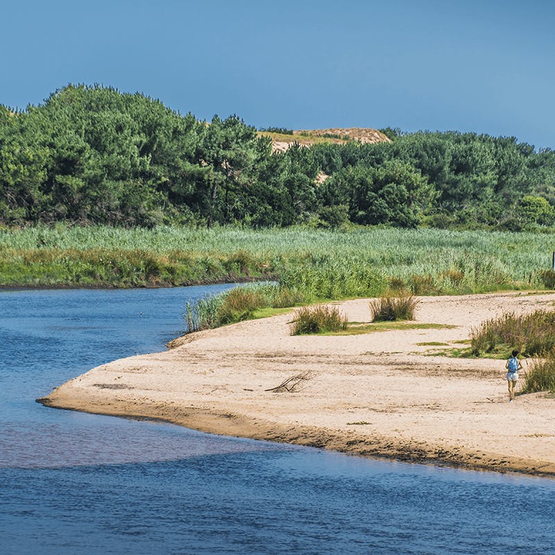 Le courant d'Huchet en Aquitaine