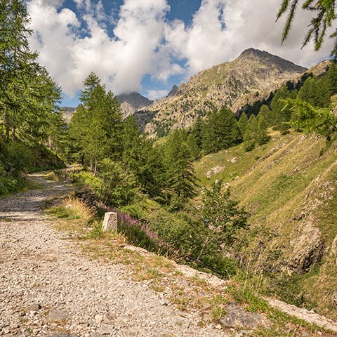 Parc du Mercantour