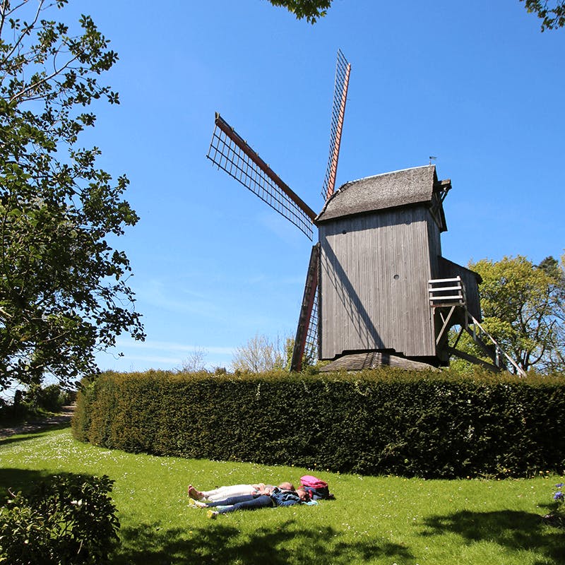 Un exemple de moulins à vent de la Flandre