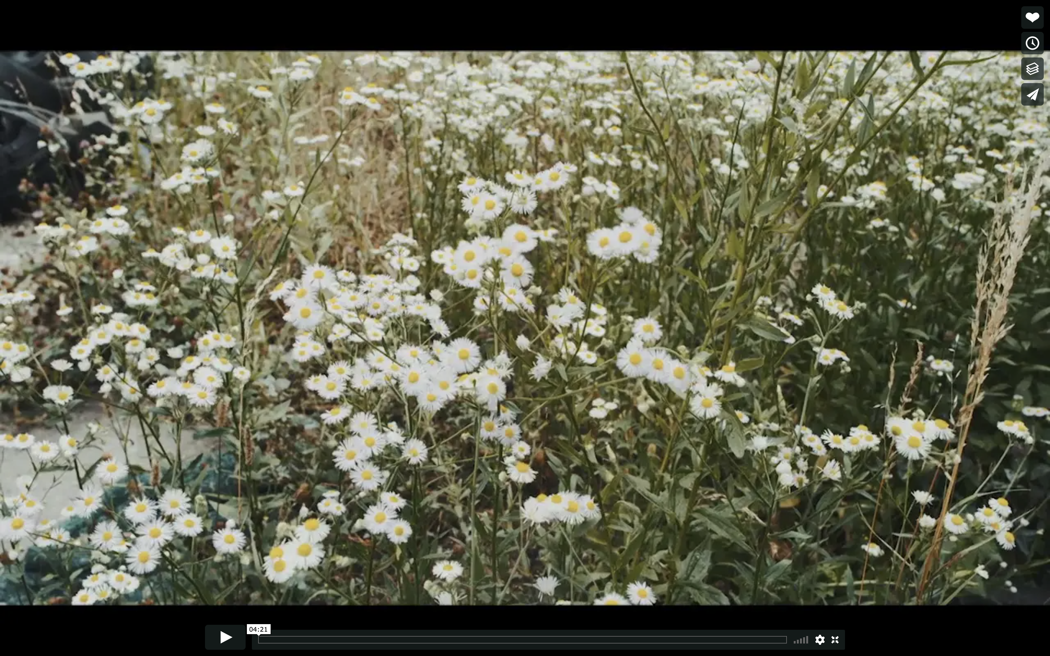 Paperi T - Surumielisen näköiset naiset