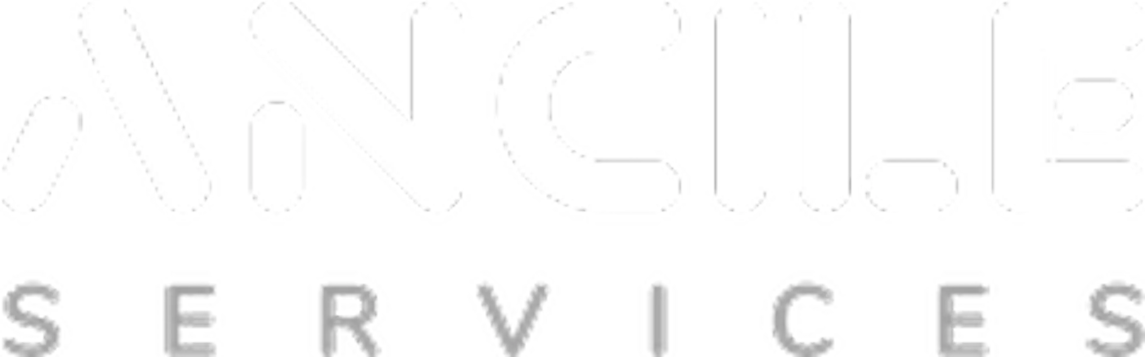 Ancile services logo light 