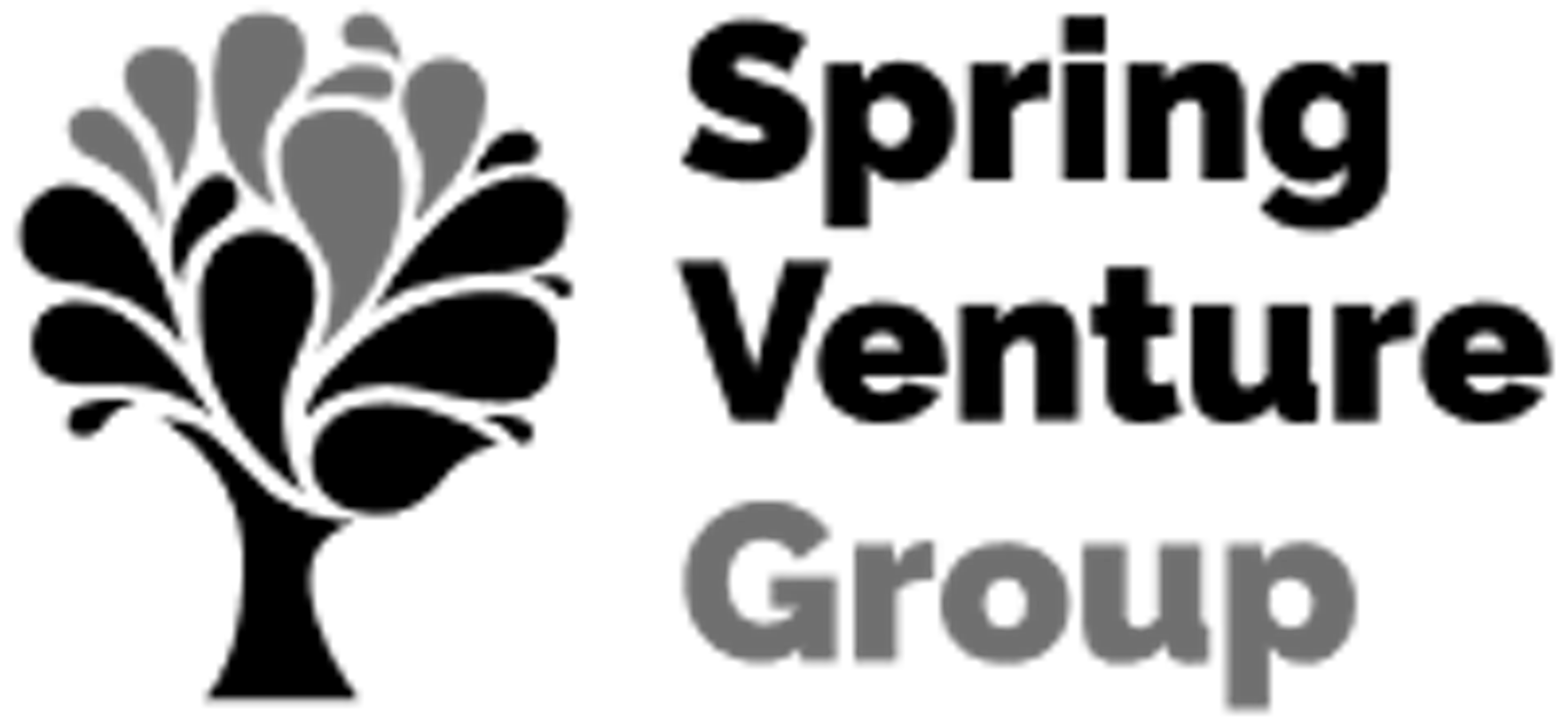 spring-venture-group