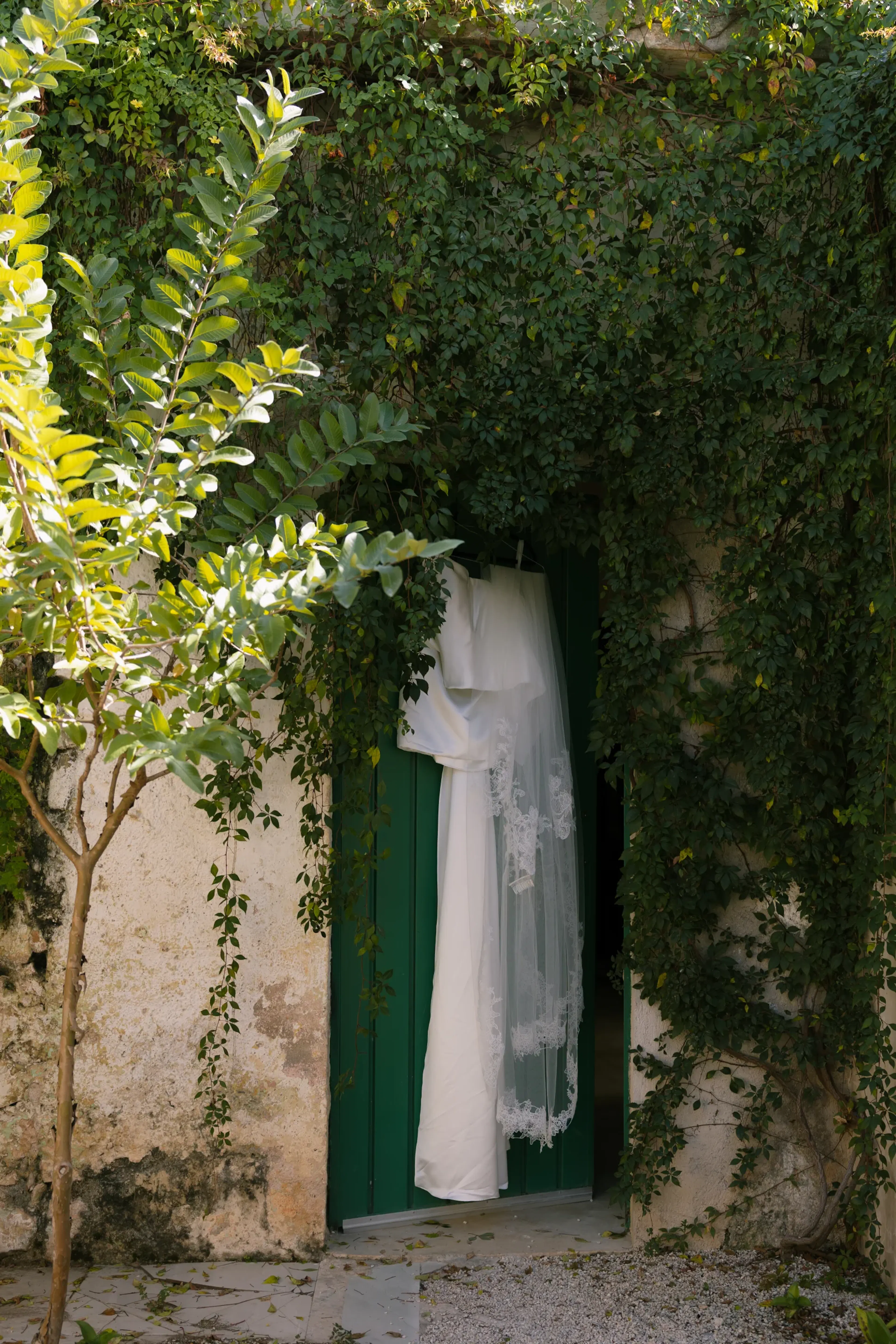 Un vestido de novia con velo de encaje cuelga de una puerta verde cubierta de exuberante hiedra, situada dentro de un antiguo muro de piedra, evocando una atmósfera serena y romántica.