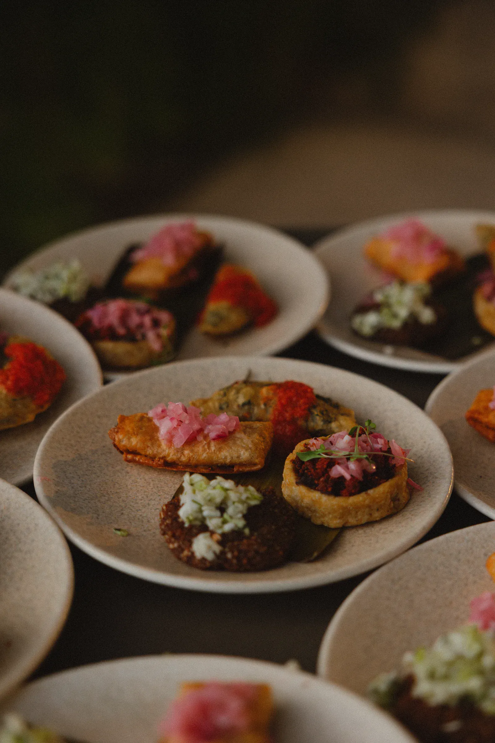 Aperitivos variados en platos pequeños, con ingredientes vibrantes como cebollas rosadas y hierbas verdes. El ambiente es cálido y acogedor, con una propuesta gastronómica gourmet.