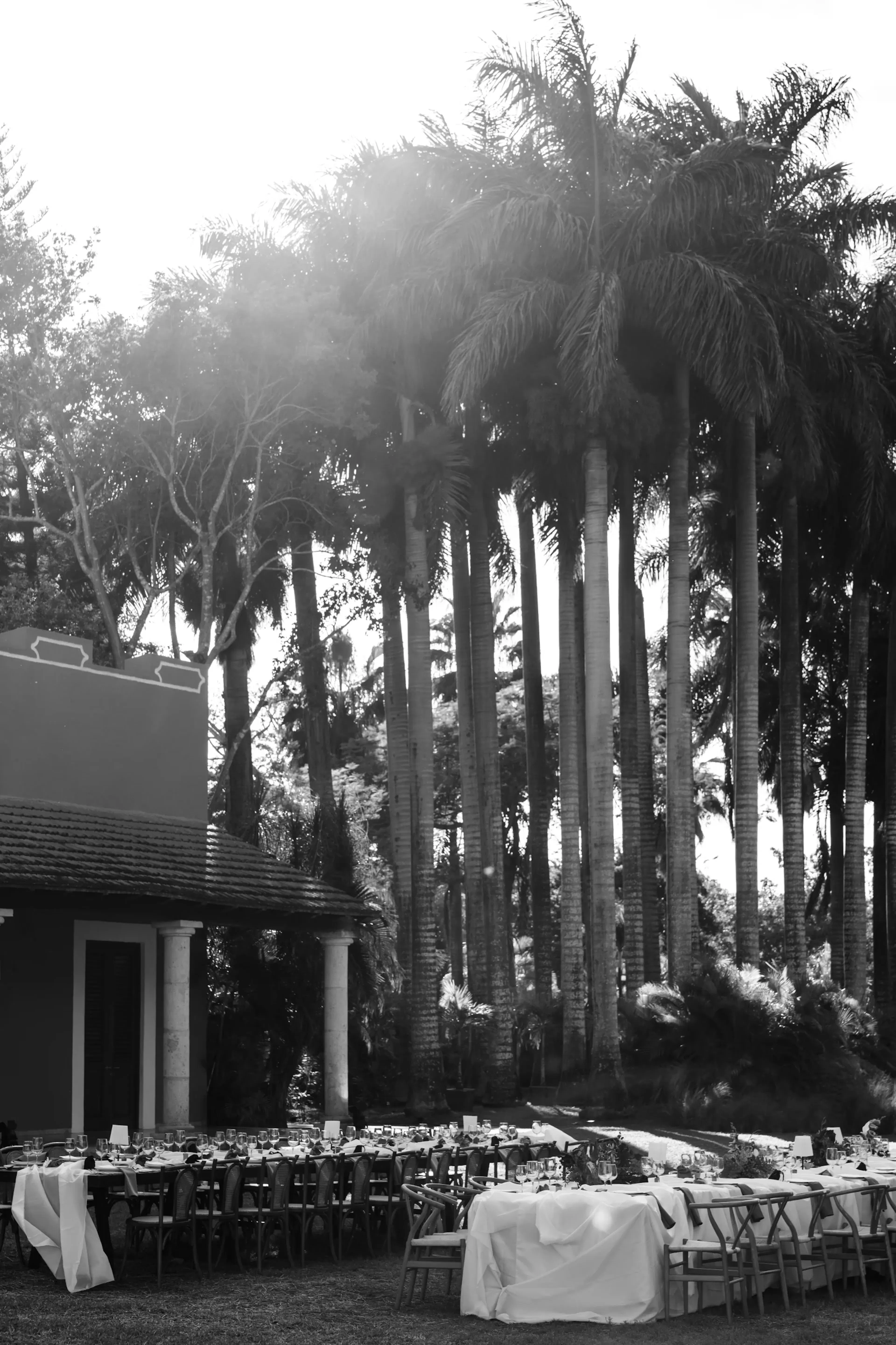 Imagen en blanco y negro de un jardín sereno con una larga mesa de comedor adornada con vajilla. Altas palmeras se alzan majestuosas al fondo.