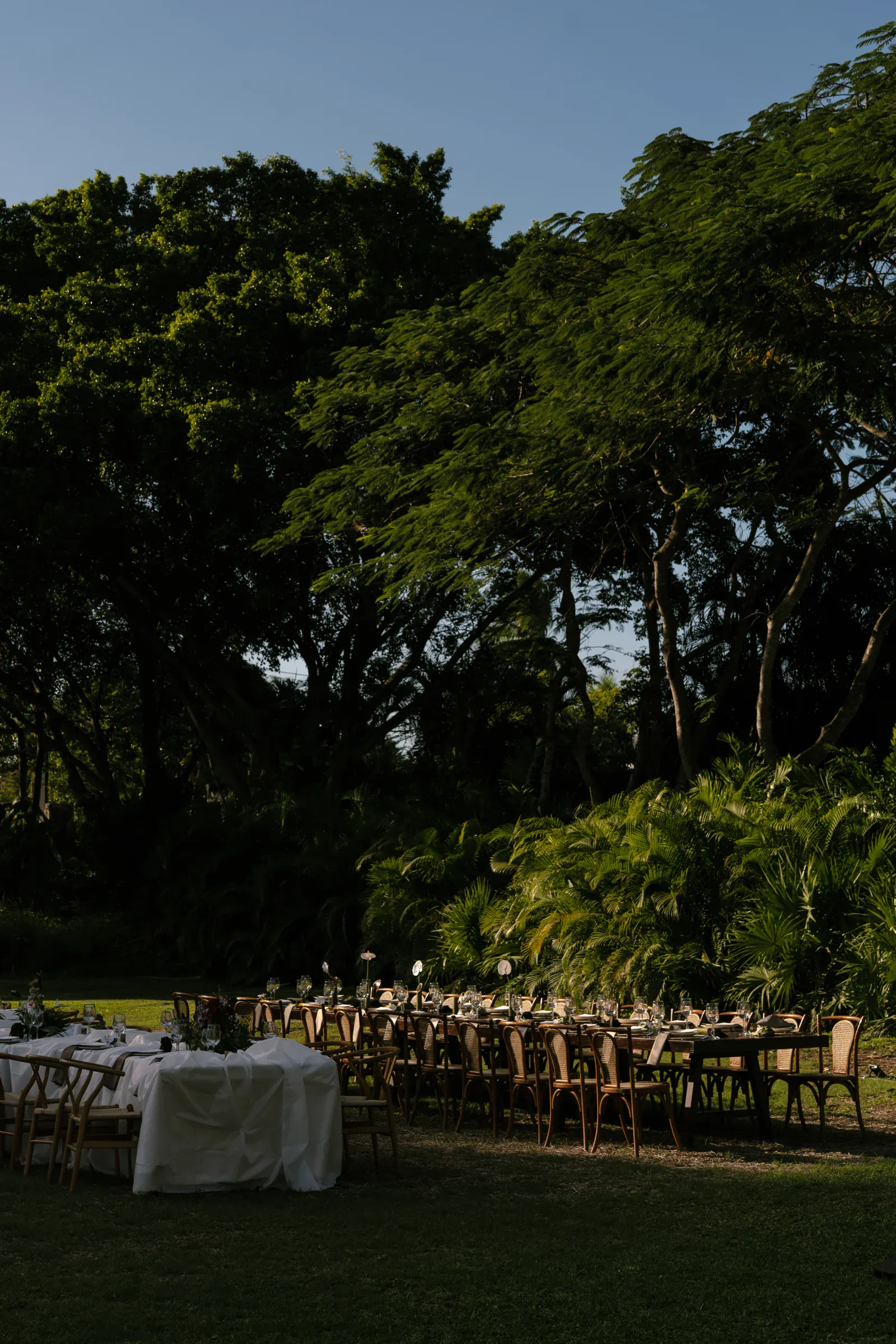 Comedor al aire libre en un exuberante jardín con mesas y sillas de madera cuidadosamente dispuestas, manteles blancos y cristalería elegante. La luz del sol se filtra entre los árboles.