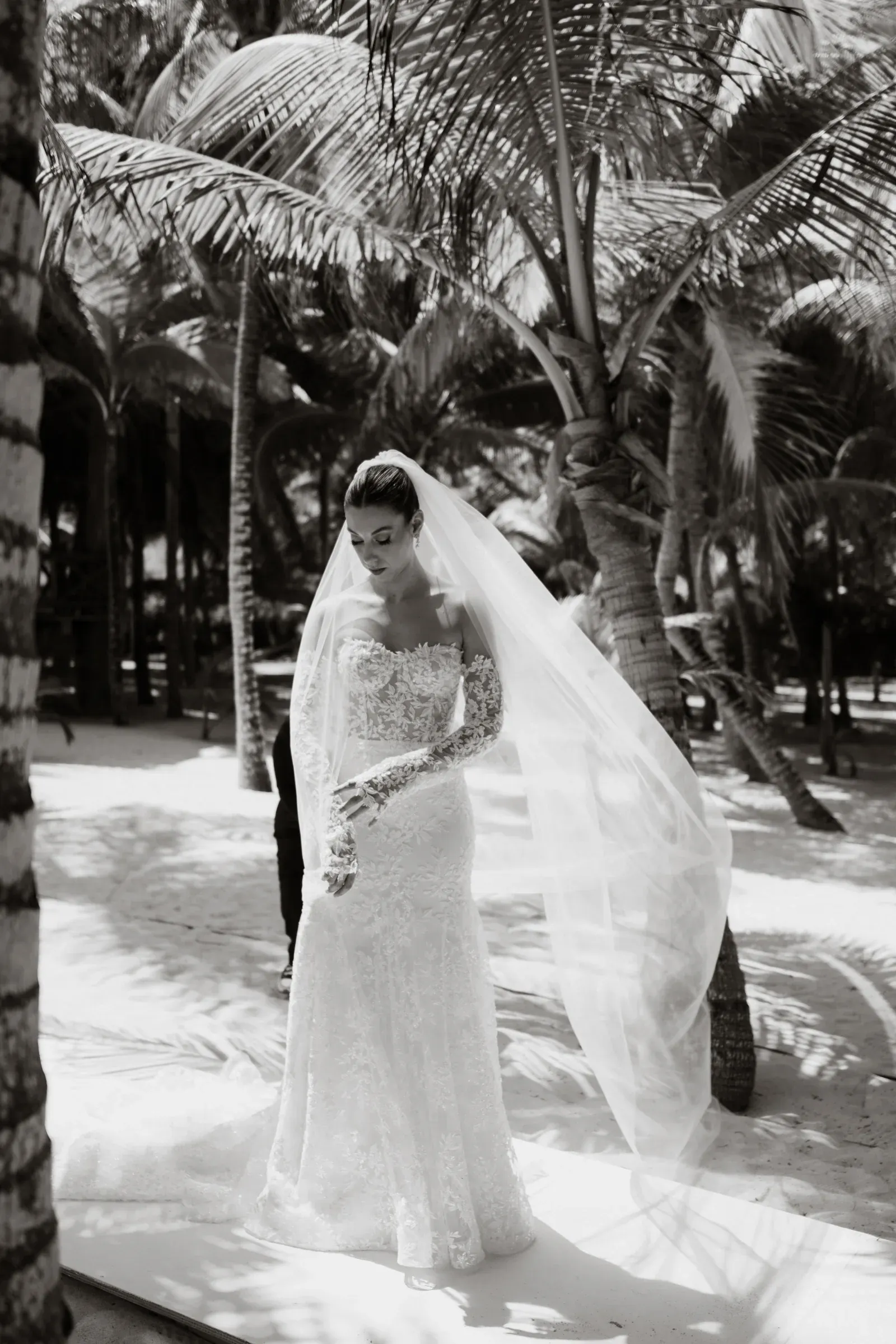 Una novia con un vestido de novia de encaje camina por un sendero arenoso rodeado de palmeras. Su velo ondea con elegancia, transmitiendo una atmósfera serena y romántica.